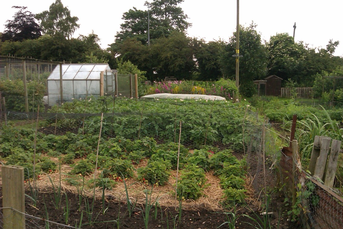 Allotments - Louth Town Council